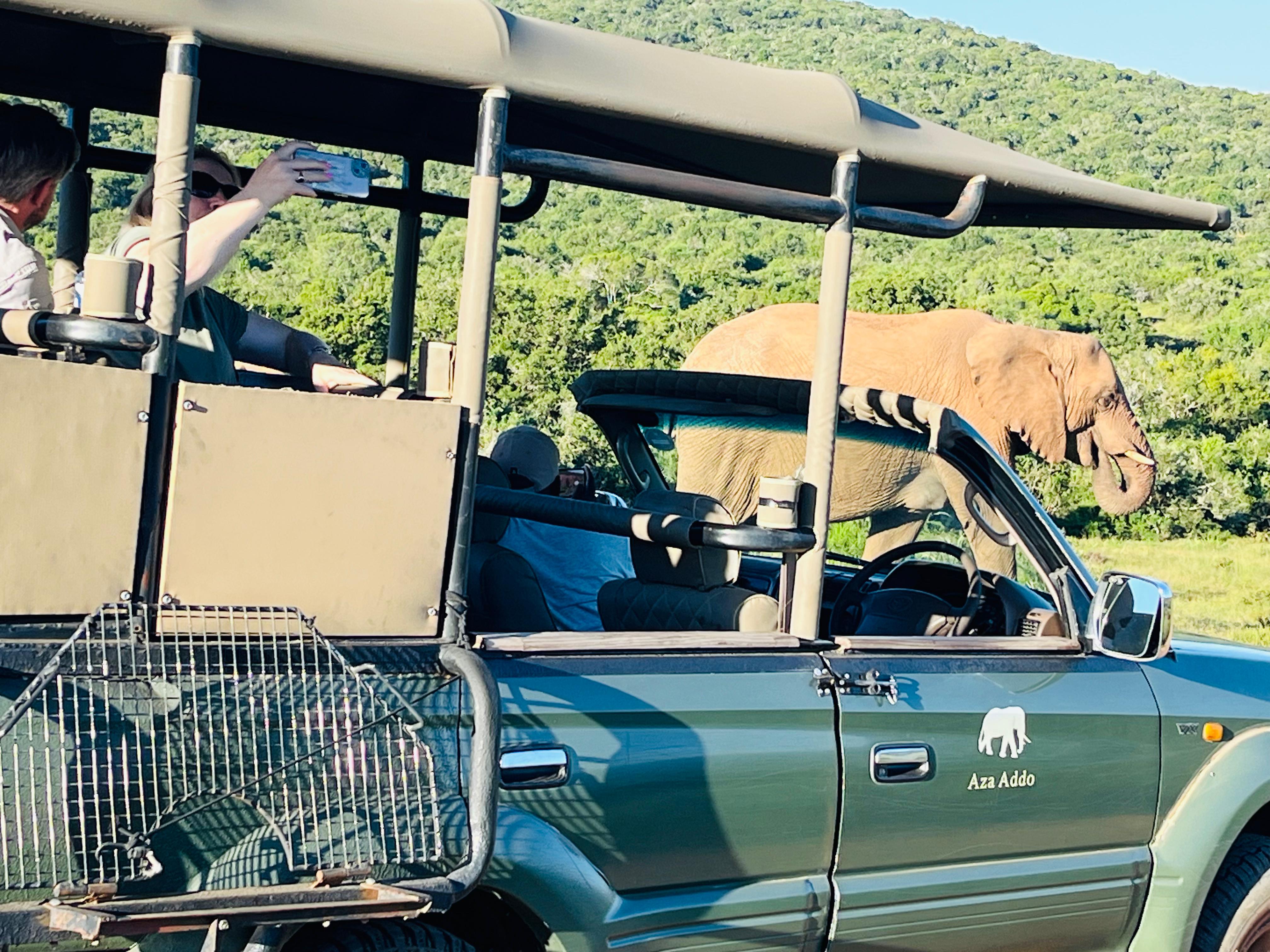 6-Day Garden Route: Cape Town to Port Elizabeth